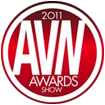 AVN Award